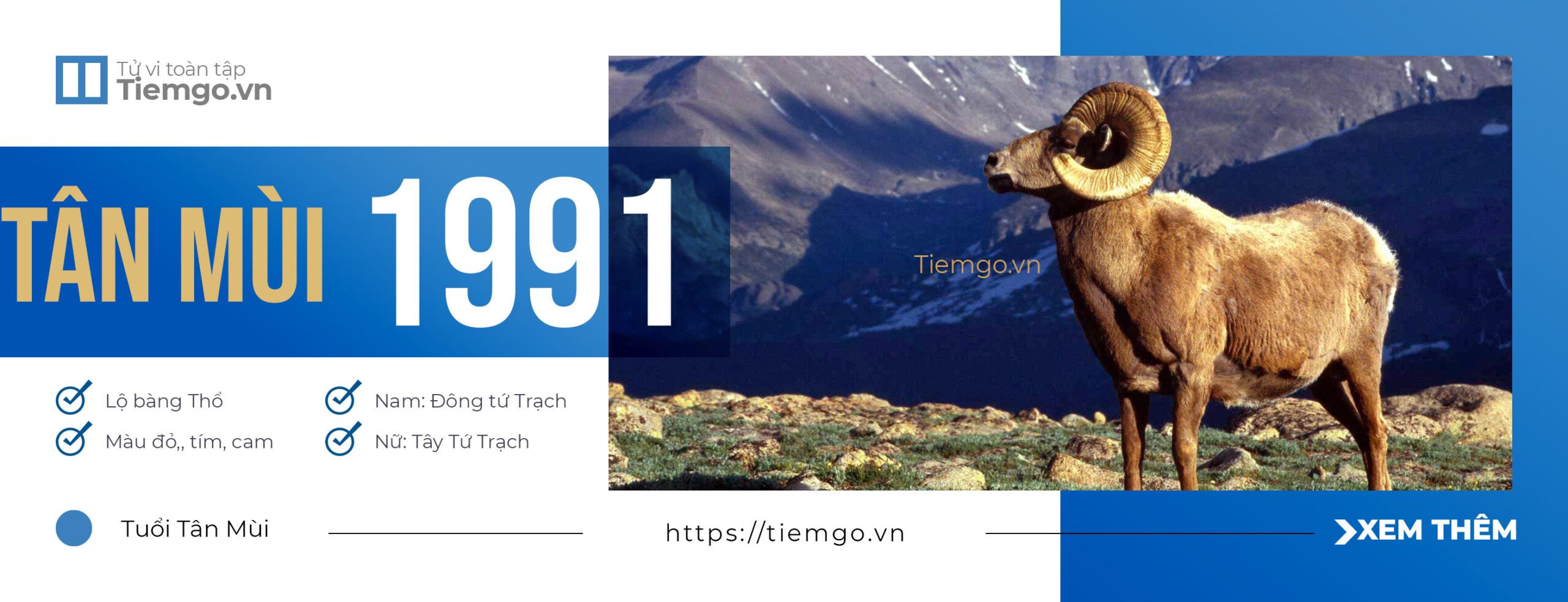 Sinh Năm 1991 [Mệnh gì] [Tuổi gì] [Hợp màu gì] [Hợp hướng nào]